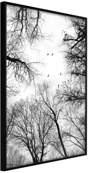 ARTGEIST Plakat med ramme - Treetops Svart 40x60